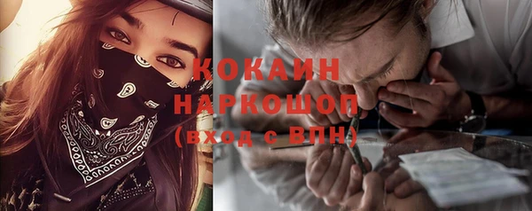 сатива Чита