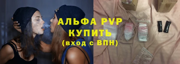 сатива Чита