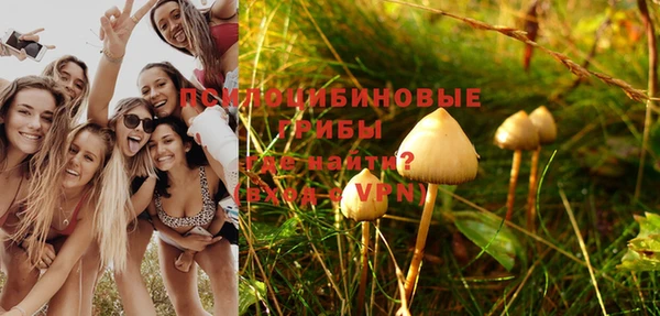 MDMA Premium VHQ Нижний Тагил