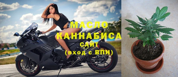 сатива Чита