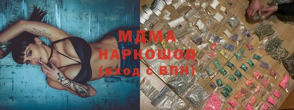 сатива Чита