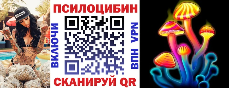 дарнет шоп  Анжеро-Судженск  мега как войти  Псилоцибиновые грибы мицелий 