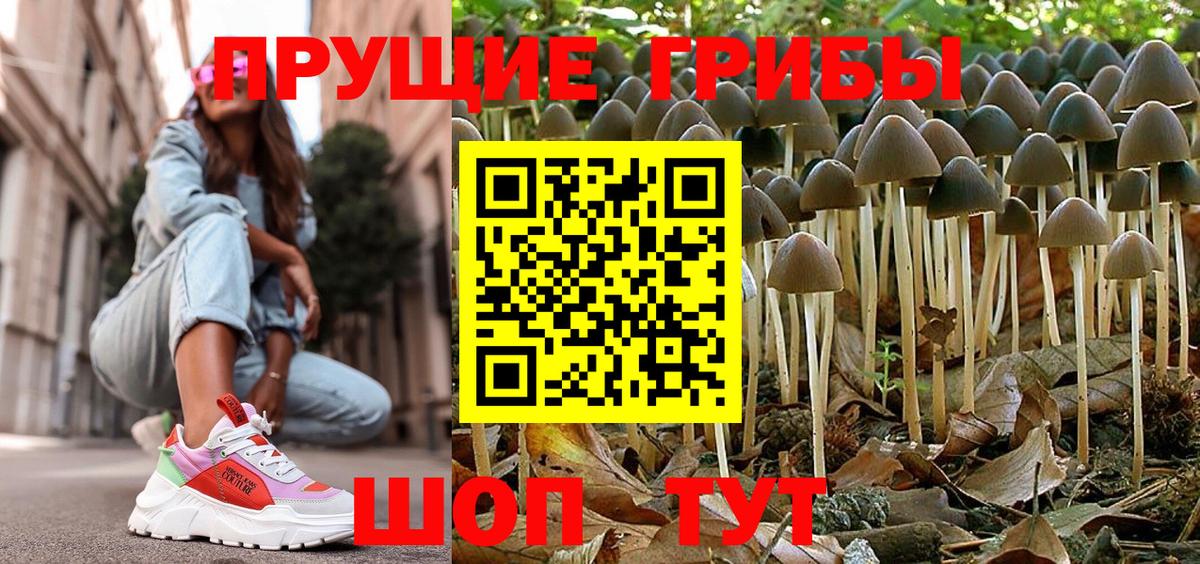 Галлюциногенные грибы Magic Shrooms  Галлюциногенные грибы Psilocybine cubensis  Вход с VPN  цена   Анжеро-Судженск 